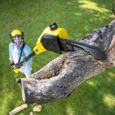 Best Lawn Mowing Services  in Monterey Park, CA